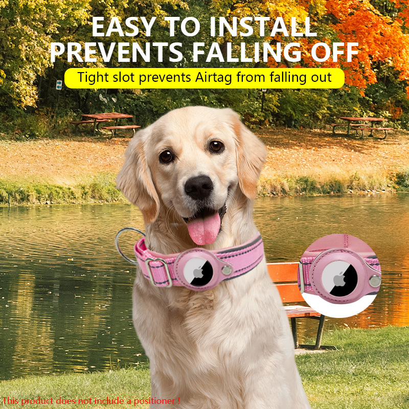 1759156438879411.jpg nylon dog collar 2.jpg
