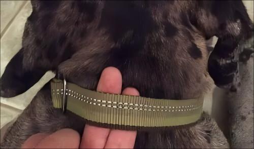 1760367771944582.jpg Apply the Two-Finger Rule.jpg