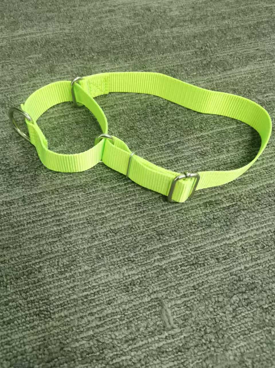 1760368610396078.jpg Martingale Collar.jpg