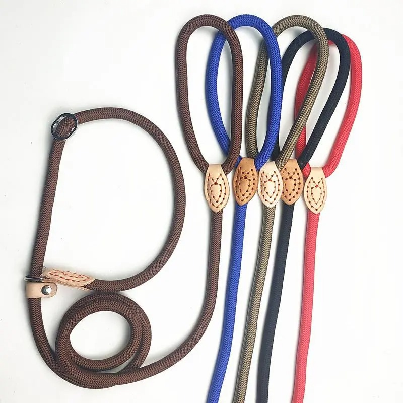 1761373068772969.jpg Nylon dog leads in multiple colors and sizes – affordable dog leash 2025.jpg