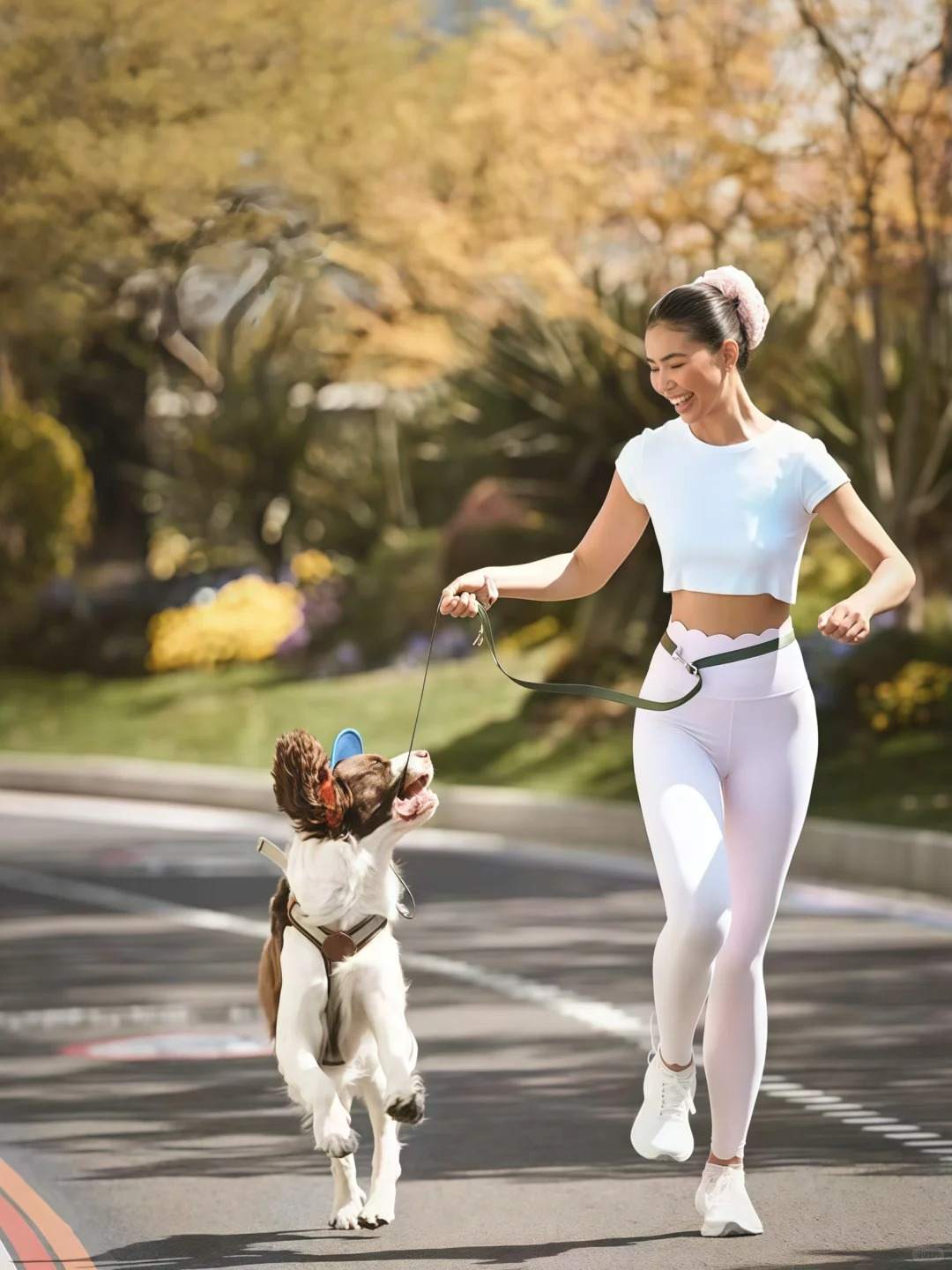 1761749548992883.jpg Short dog lead trning in the park(1).jpg