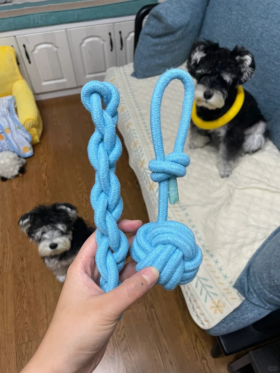 rope toys.jpg