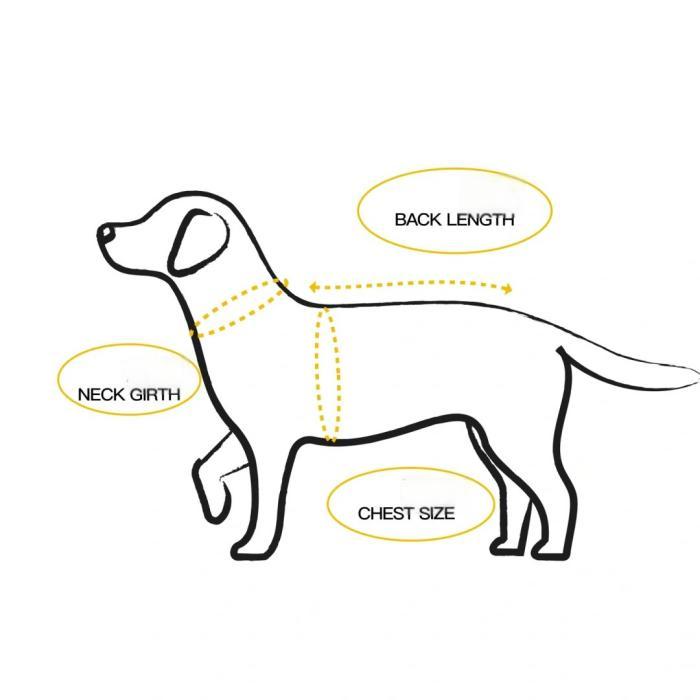 How to Measure for the Right Size.jpg