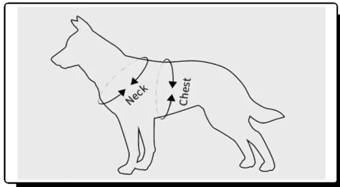 Fit & Measurements (Chest and Neck).jpg