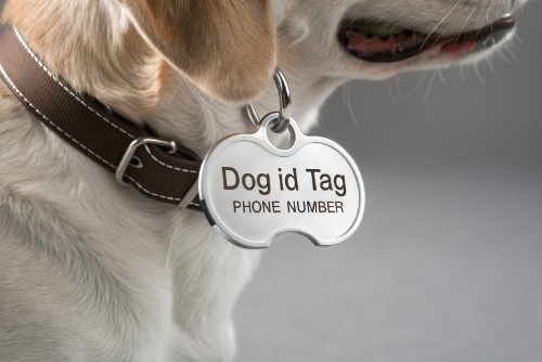 1765524375629539.jpg Must-have details section.jpg