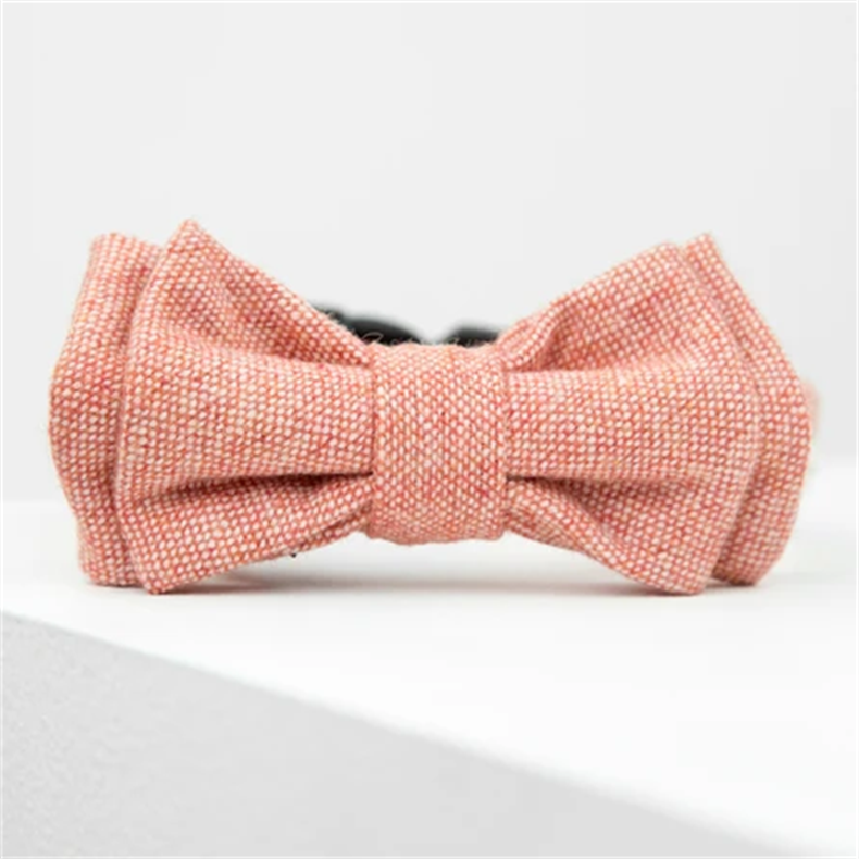 Detail-05 eco friendly dog collar_1670314247.png Detail-05 eco friendly dog collar.png