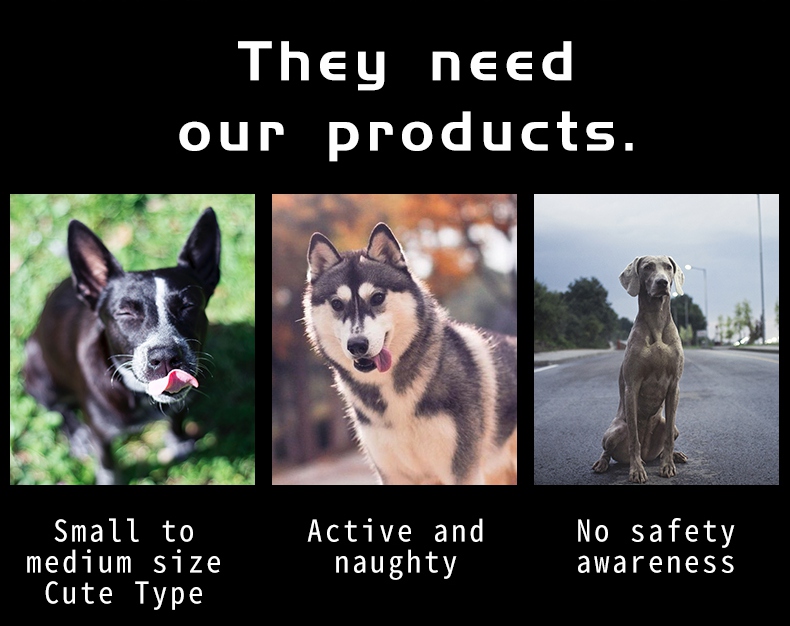 dogcollarmanufacturerusa2_1655274245.jpg dogcollarmanufacturerusa2.jpg