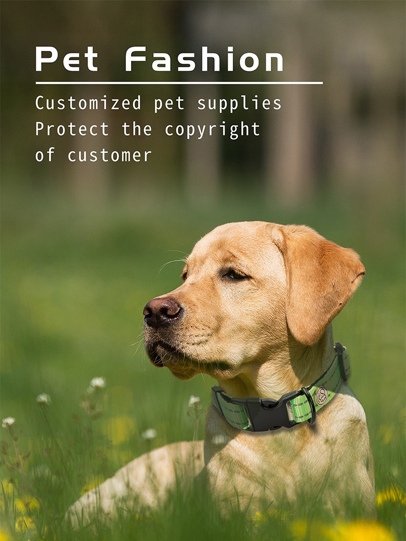 dogcollarmanufacturer1_1655274240.jpg dogcollarmanufacturer1.jpg