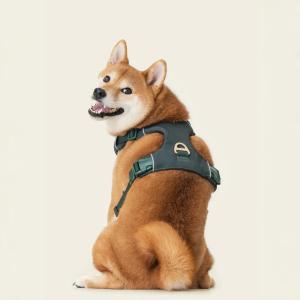 1763211076983892.jpg Vest dog harness(1).jpg